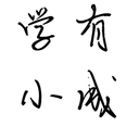 Rank badge