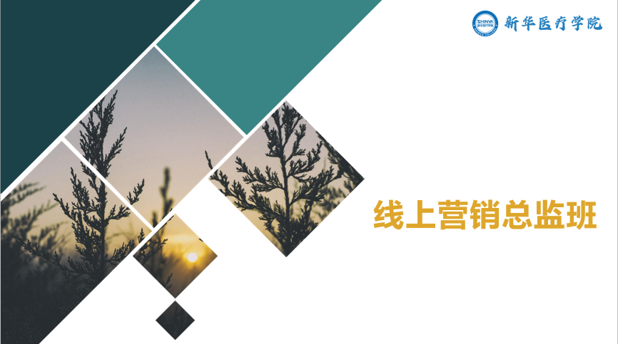线上营销总监班